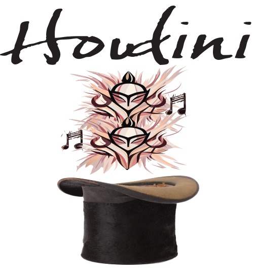 Store 1 — Houdini